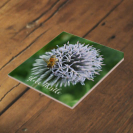 Azulejo De Cerâmica Abelha de mel no Globo Thistle Floral
