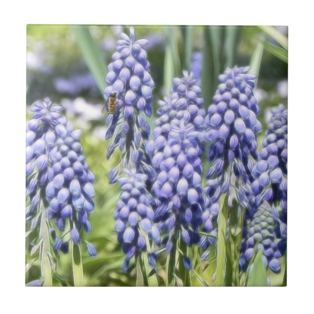 Azulejo De Cerâmica Abelha em flores do Muscari (Frente)