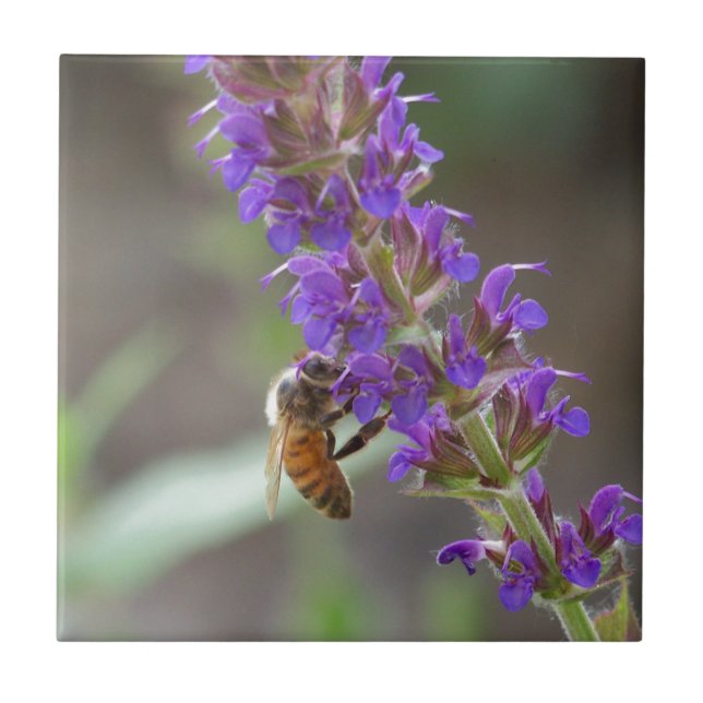 Azulejo De Cerâmica Abelha em Salvia (Frente)