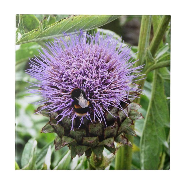 AZULEJO DE CERÂMICA  ABELHAS (Frente)