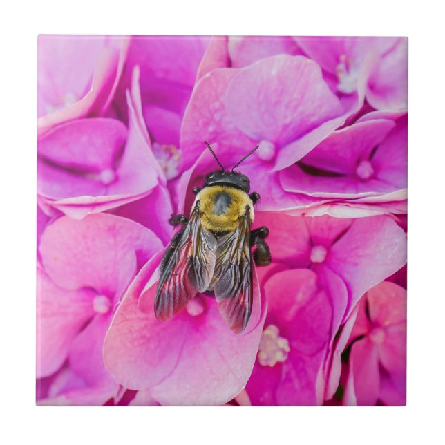 Azulejo De Cerâmica Abelhas De Bumble Em Hydrangea (Frente)