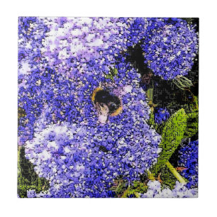 Azulejo De Cerâmica Abelhas De Flor Ceanothus