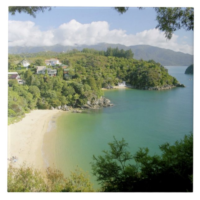 Azulejo De Cerâmica Able Tasman NP, Nelson, Nova Zelândia. As muitas (Frente)