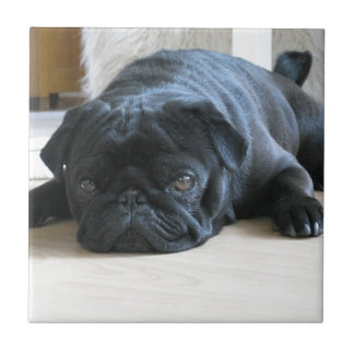 Azulejo De Cerâmica Acessórios personalizados para cachorrinho Pug pre