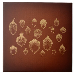 Azulejo De Cerâmica Acorns Antique Acorn Art Ilustrado Vintage