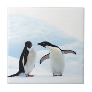 Azulejo De Cerâmica Adelie Penguins