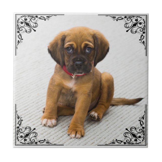 AZULEJO DE CERÂMICA  ADICIONE SUA PRÓPRIA FOTO (Frente)