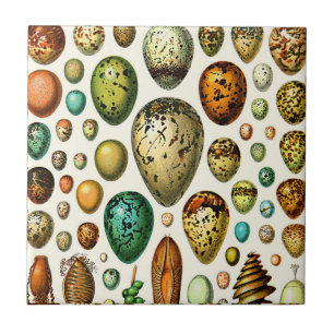 Azulejo De Cerâmica Adolphe Millot Egg Ceramics