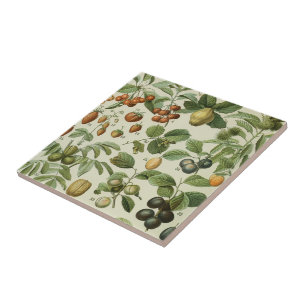 Azulejo De Cerâmica Adolphe Millot - Frutas