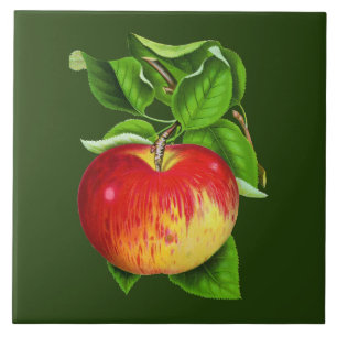 Azulejo De Cerâmica Adorno de cozinha vintage fofo da Apple