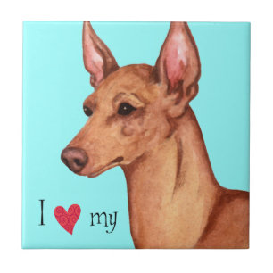 Azulejo De Cerâmica Adoro o meu Cirneco dell'Etna