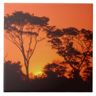 Azulejo De Cerâmica África do Sul. Pôr do sol africano.