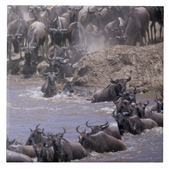 Azulejo De Cerâmica África, Quênia, Masai Mara National Park. (Frente)