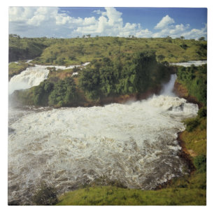 Azulejo De Cerâmica África, Uganda, Parque Nacional Murchison Falls. A