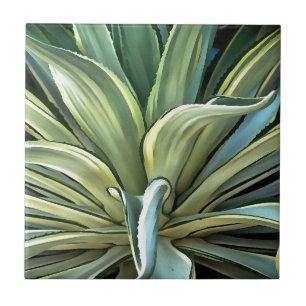 Azulejo De Cerâmica Agave tropical