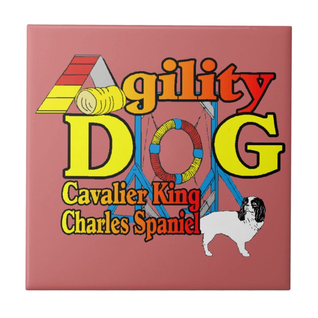 Azulejo De Cerâmica Agilidade do Cavalier King Charles Spaniel (Frente)