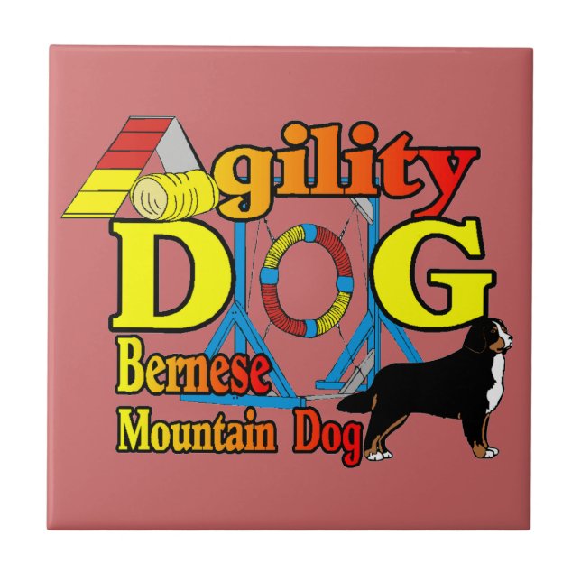 Azulejo De Cerâmica Agilidade dos Cachorros de Montanha Bernese (Frente)