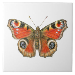 Azulejo De Cerâmica Aglais io - Borboleta de pavão cerâmica