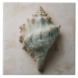 Azulejo De Cerâmica Água e Areia Concha Costeira