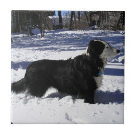 Azulejo De Cerâmica Aguardando