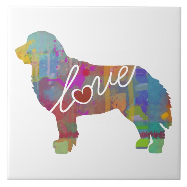 Azulejo De Cerâmica Aguarela do cão de montanha de Bernese (Frente)