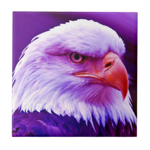 Azulejo De Cerâmica Águia Balda Americana