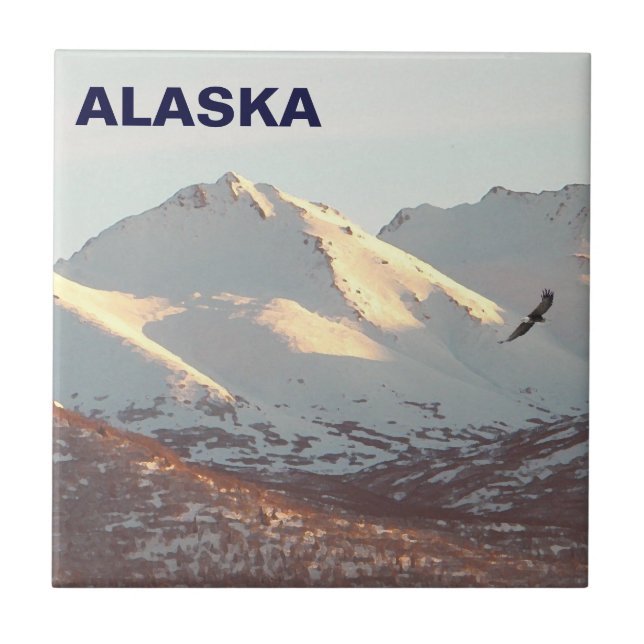 Azulejo De Cerâmica águia-de-inverno (Frente)