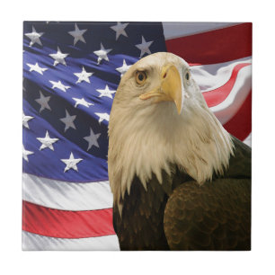 Azulejo De Cerâmica Águia e Bandeira Americanas