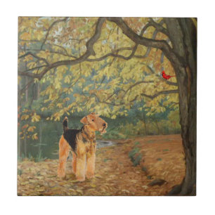 Azulejo De Cerâmica Airedale Terrier Observação de Pássaros