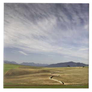 Azulejo De Cerâmica Ajardine com campos de trigo, Grabouw, ocidental