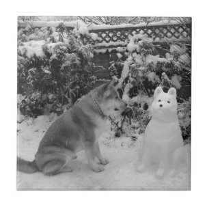 Azulejo De Cerâmica akita preto e branco com cão de neve com boneco d