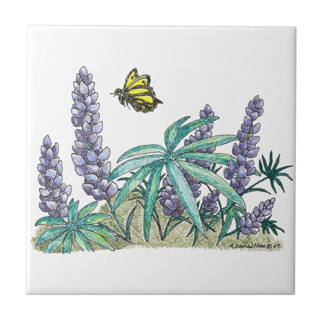 Azulejo De Cerâmica Alaska Lupine Watercolor (Frente)