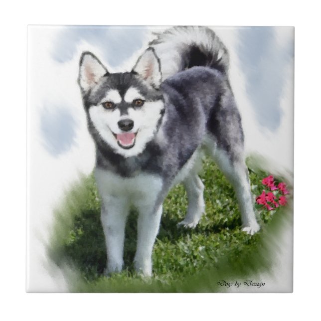 Azulejo De Cerâmica Alaskan Klee Kai Art (Frente)