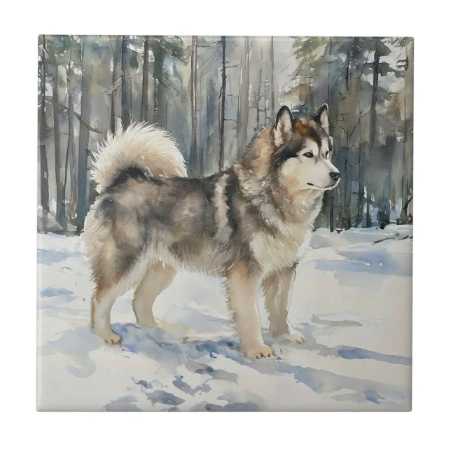 Azulejo De Cerâmica Alaskan Malamute (Frente)