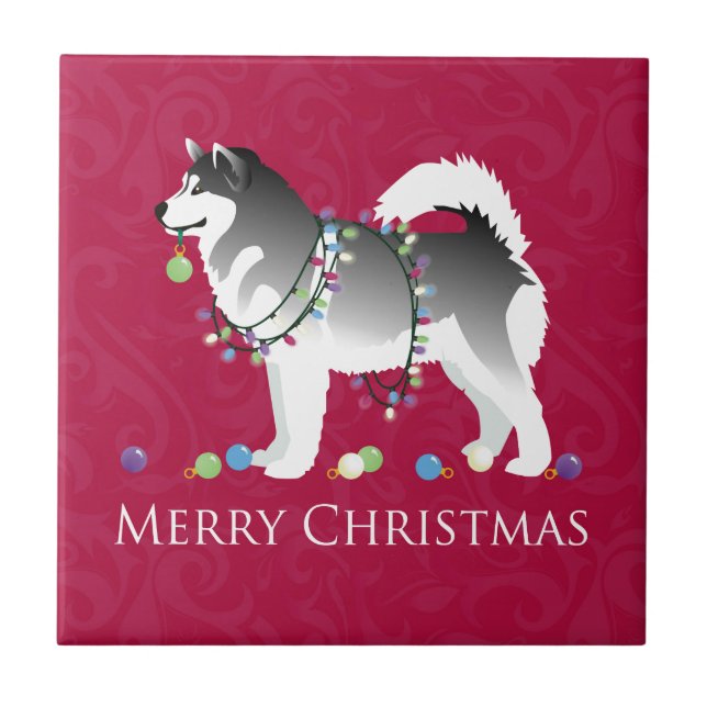 Azulejo De Cerâmica Alaskan Malamute Dog Felry Design de Natal (Frente)