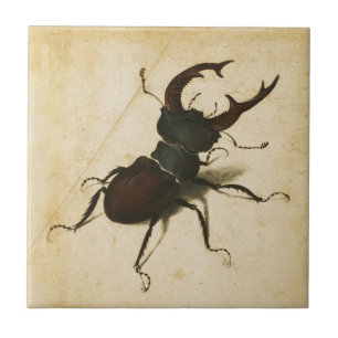Azulejo De Cerâmica Albrecht Durer Stag Beetle Renaissance Art Drawing