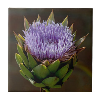 Azulejo De Cerâmica Alcachofra, Cynara Cardunculus, na flor