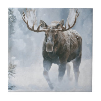 Azulejo De Cerâmica Alce Macho Caminhando pela Neve Boreal