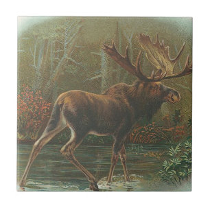 Azulejo De Cerâmica Alces