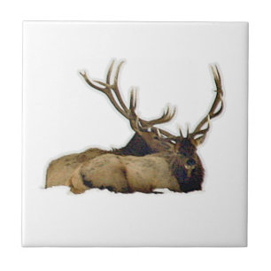Azulejo De Cerâmica Alces de descanso do touro