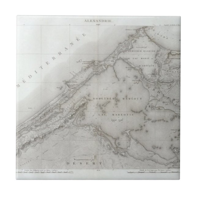 Azulejo De Cerâmica Alexandrie, Egipto (Frente)