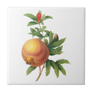 Azulejo De Cerâmica Alimento Antigo Fruta, Romã por Redoute