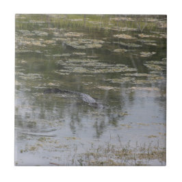 Azulejo de cerâmica Alligator