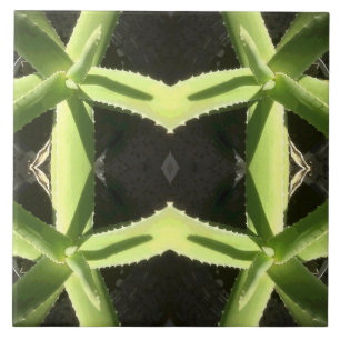 Azulejo De Cerâmica Aloe Pattern 3h