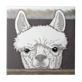 Azulejo De Cerâmica Alpaca Portrait