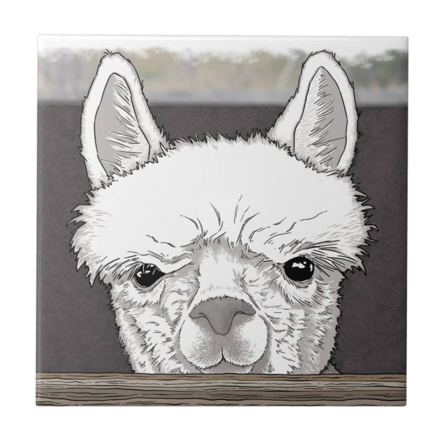 Azulejo De Cerâmica Alpaca Portrait (Frente)