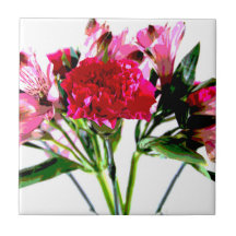 Alstroemeria Aquarelas Rosa