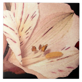 Azulejo De Cerâmica Alstroemeria em flor