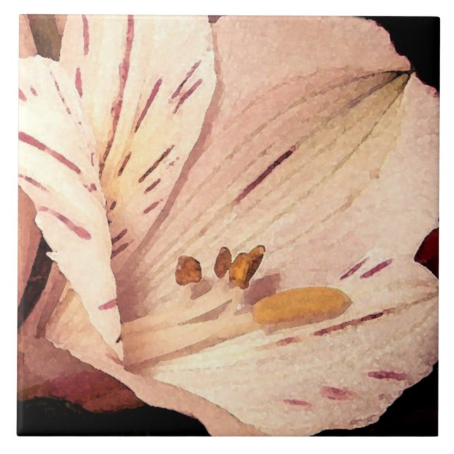Azulejo De Cerâmica Alstroemeria em flor (Frente)