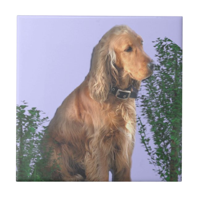 Azulejo De Cerâmica Amante do cão de cocker spaniel (Frente)
